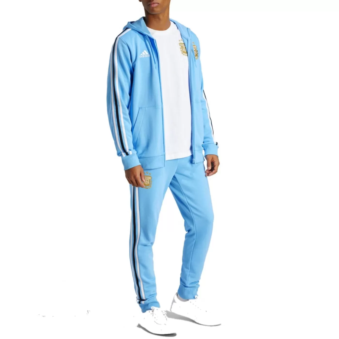 Argentina Casual 3S hooded presentation tracksuit 2024/25 - Adidas