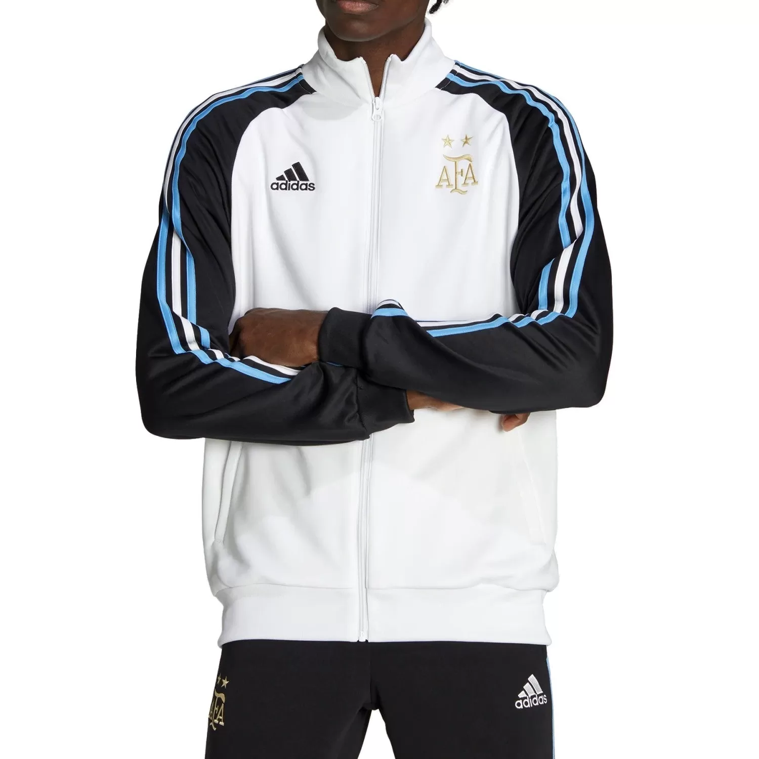 Argentina Casual 3S presentation Soccer tracksuit 2022/23 - Adidas