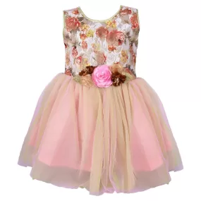 Baby Girls Frock Dress DN Fe1208bpnk