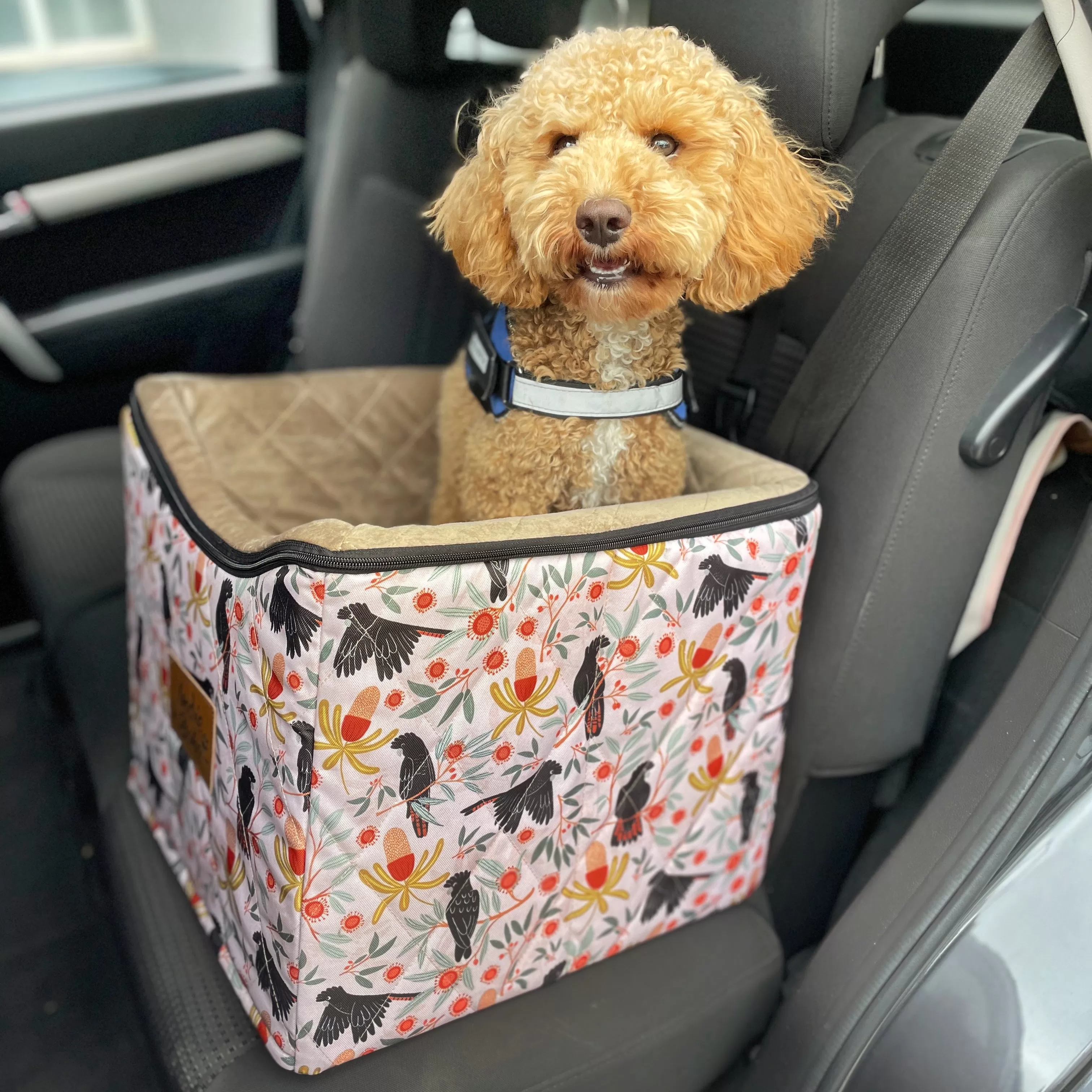 Car Pet Booster Seats SINGLE Size  - Sunset Cockatoo