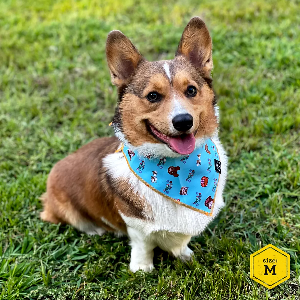 Critical Role Reversible Pet Bandana Set 2-Pack