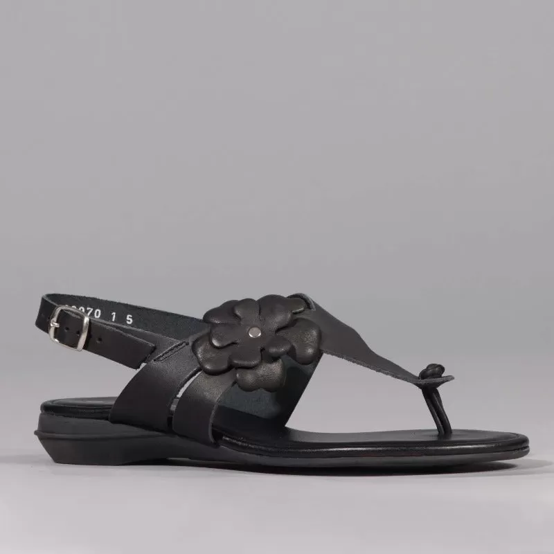 Flower Thong Sandal in Black - 12621