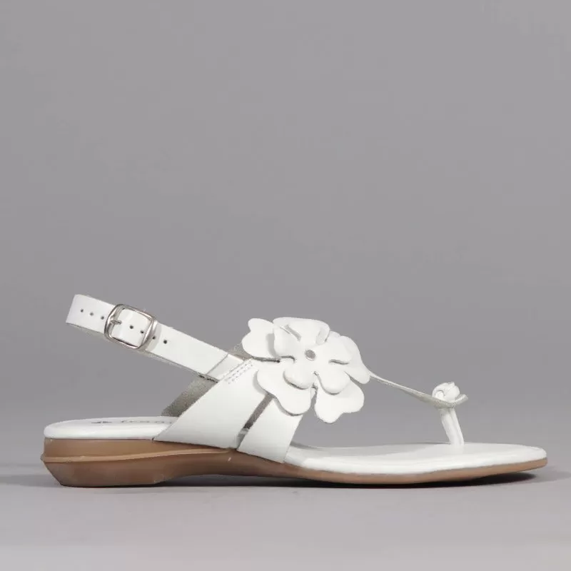 Flower Thong Sandal in White - 12621