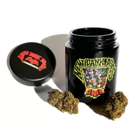 GWAR New Dank Ages Delta-9 Flower 3.5 Gram Collectible Jar