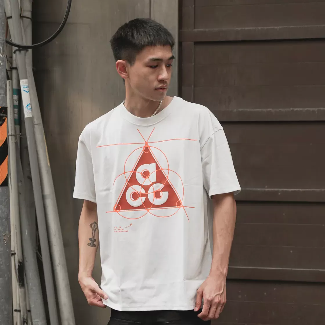 Nike ACG Big Logo Graphic Tee [FB8120]